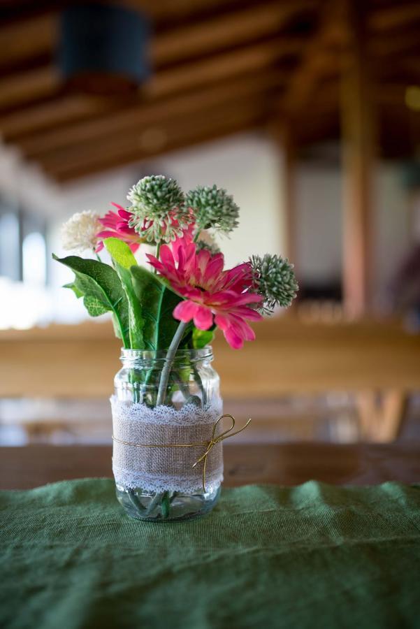 Bed and Breakfast Opg Horvat Sobe Za Odmor Daruvar Zewnętrze zdjęcie